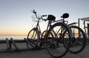 myrtle beach bikes