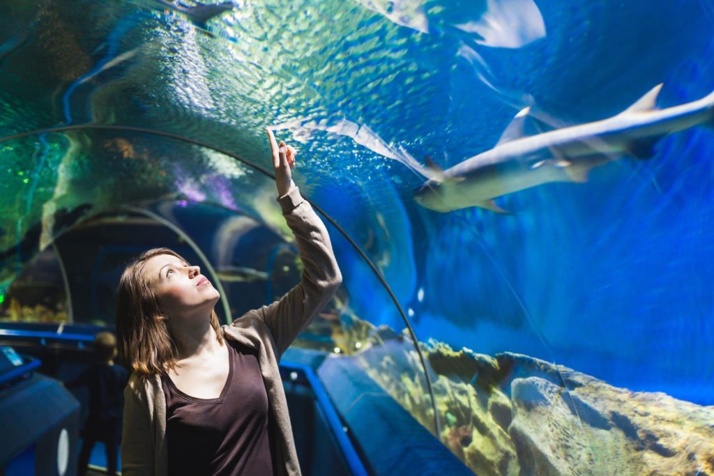 Ripley’s Aquarium tunnel